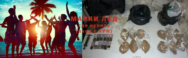PSILOCYBIN Балабаново