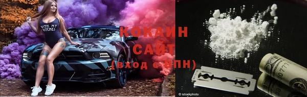 мяу мяу мука Баксан