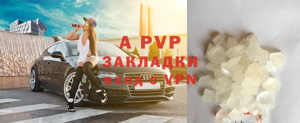 PSILOCYBIN Балабаново