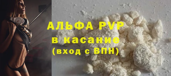 PSILOCYBIN Балабаново