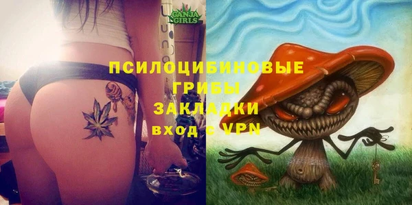 мяу мяу мука Баксан