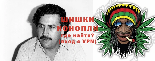 PSILOCYBIN Балабаново