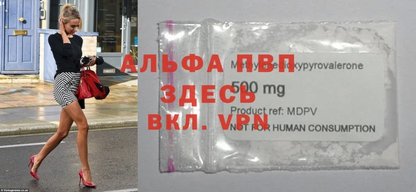 мяу мяу мука Баксан