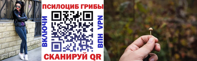 Галлюциногенные грибы Cubensis Губкинский