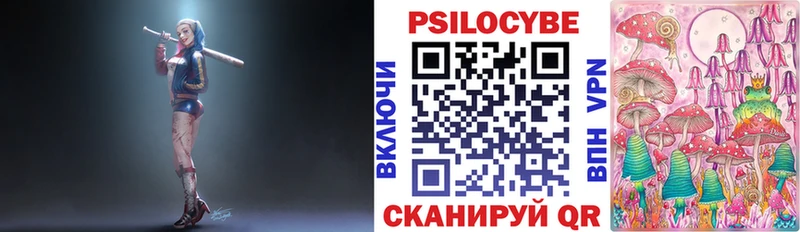 Псилоцибиновые грибы прущие грибы  Губкинский 